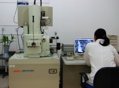 Scanning Electron Microscopy(JSM-6700F)