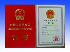 National Natural Science Award Second Prize(2012)
