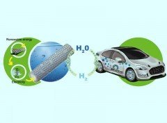 Cobalt-embedded nitrogen-Rich carbon nanotubes efficiently catalyze hydrogen evolution reaction at all pH values