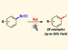 Photo-Induced Metal Catalyst-Free Aromatic Finkelstein Reaction