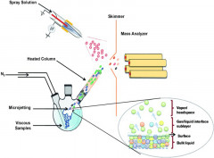 Rapid characterization of complex viscous liquids at the molecular level