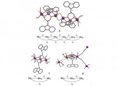 Inorg. Chem. Front., 2016, 3, 1272–1279.J. Cirera, Y. Jiang, G. Wu,* E. Ruiz*
