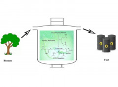 A highly efficient Cu/AlOOH catalyst obtained by in situ reduction: Catalytic transfer hydrogenation of ML into γ-GVL
