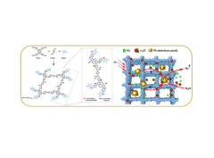 2D sp2 Carbon-Conjugated Covalent Organic Frameworks for Photocatalytic Hydrogen Production from Water
