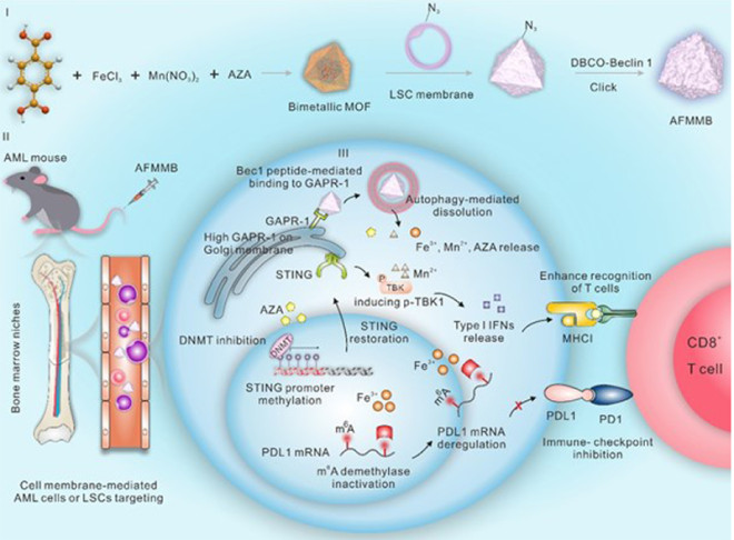 A Bimetallic Metal–Organic Framework-Based Biomimetic Nanoplatform Enhances Anti-Leukemia Immunity Via Synchronizing DNA Demethylation and RNA Hypermethylation