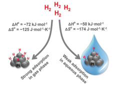 The nature of hydrogen adsorption on platinum in the aqueous phase