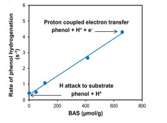 Rate enhancement of phenol hydrogenation on Pt by hydronium ions in the aqueous phase