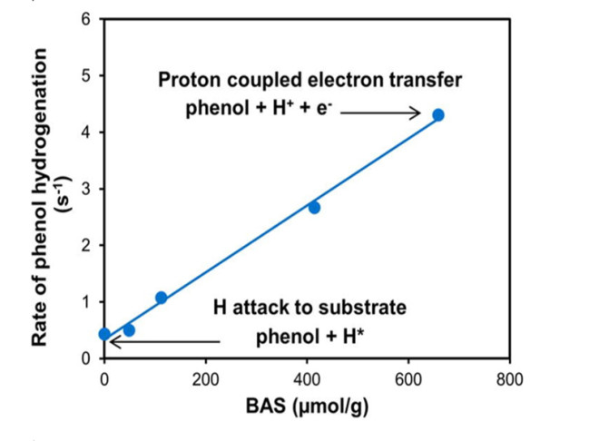 Rate enhancement of phenol hydrogenation on Pt by hydronium ions in the aqueous phase